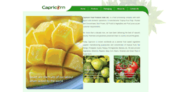 Desktop Screenshot of capricorngroup.com